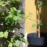Hostel G&b - And Wines Lisboa